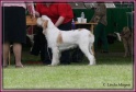01-06-12 M GoodAsGold_IMG_IMG_6314